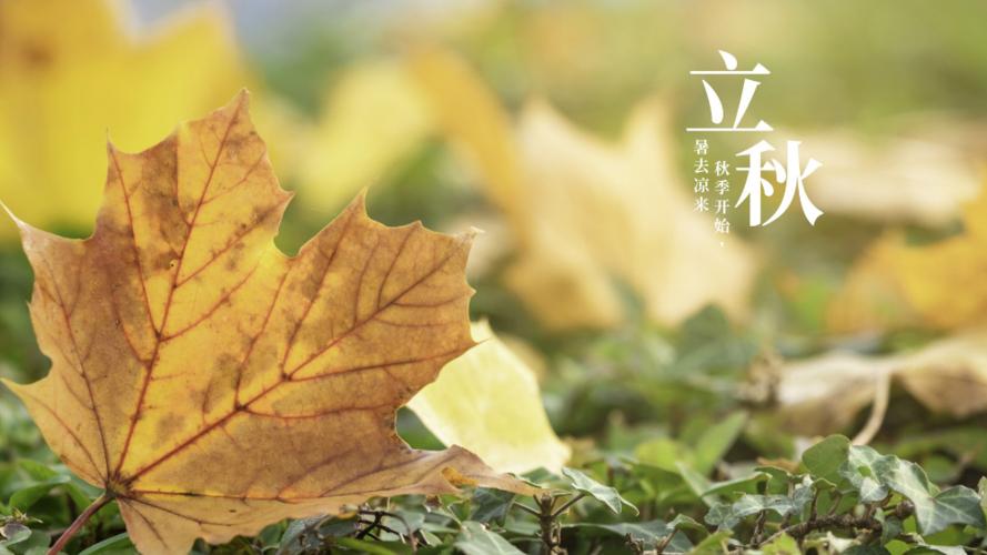 图片一 清静的立秋图片 提供者-李慧昱.jpeg