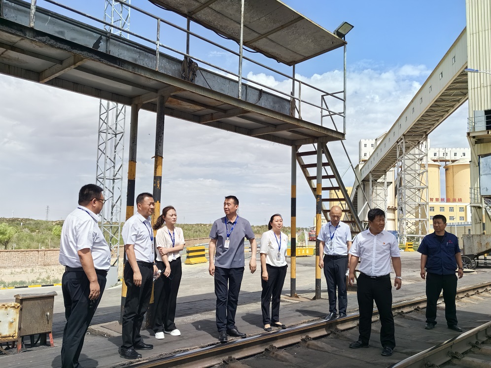 图二  环保专项检查组现场检查   贺晓兰  摄.jpg