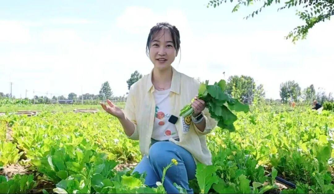 超凡娱乐-梦想照进现实,起劲成绩未来!